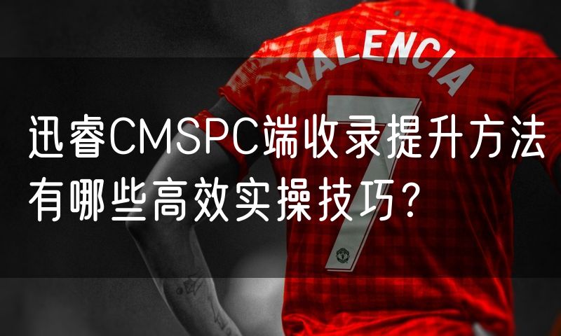 迅睿CMSPC端收录提升方法有哪些高效实操技巧?