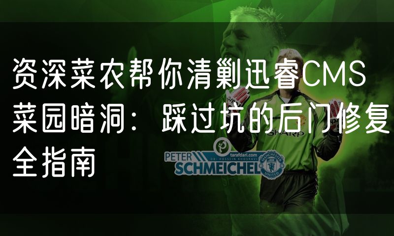 资深菜农帮你清剿迅睿CMS菜园暗洞:踩过坑的后门修复全指南