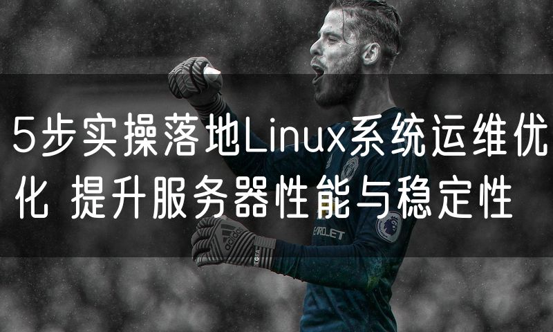 5步实操落地Linux系统运维优化 提升服务器性能与稳定性