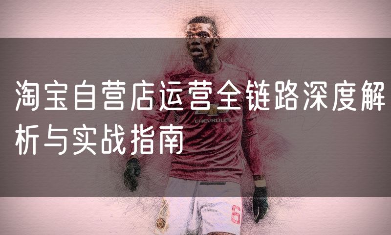 淘宝自营店运营全链路深度解析与实战指南