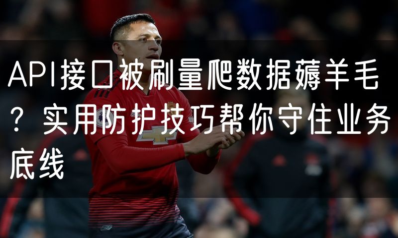 API接口被刷量爬数据薅羊毛?实用防护技巧帮你守住业务底线
