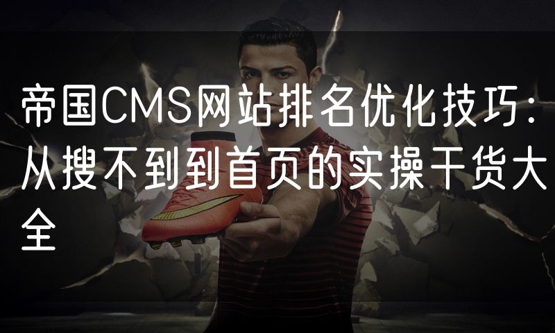 帝国CMS网站排名优化技巧:从搜不到到首页的实操干货大全