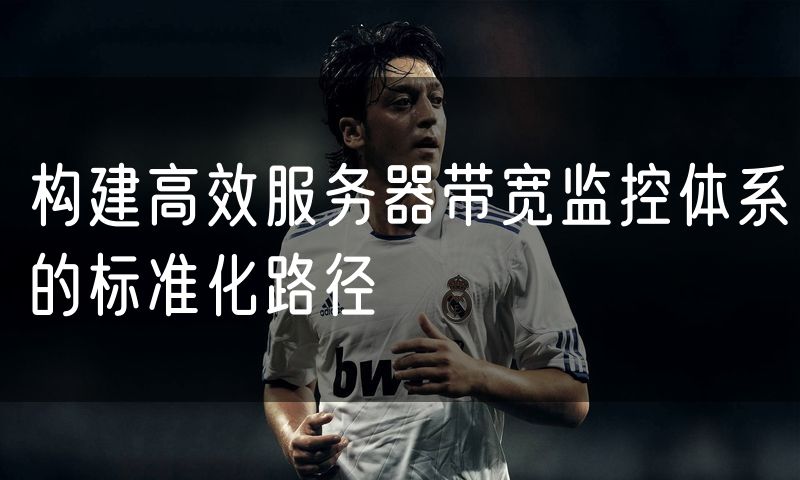 构建高效服务器带宽监控体系的标准化路径