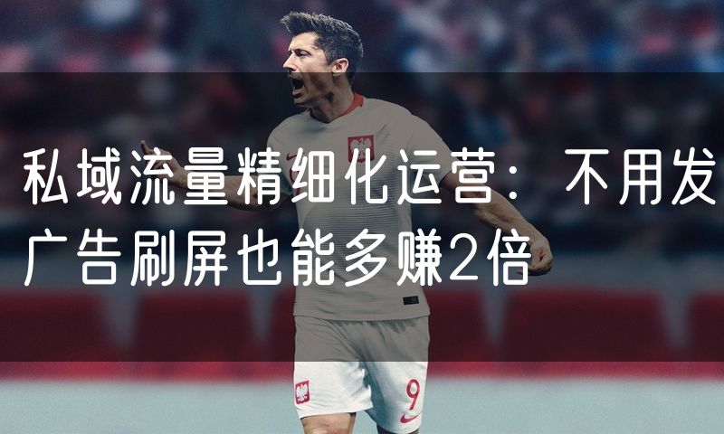 私域流量精细化运营：不用发广告刷屏也能多赚2倍