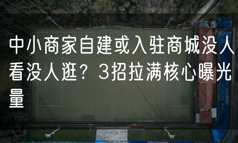 中小商家自建或入驻商城没人看没人逛?3招拉满核心曝光量