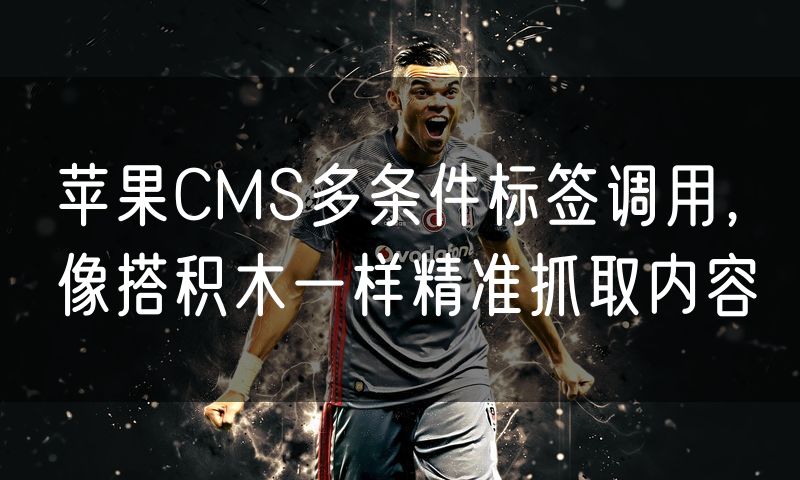 苹果CMS多条件标签调用，像搭积木一样精准抓取内容