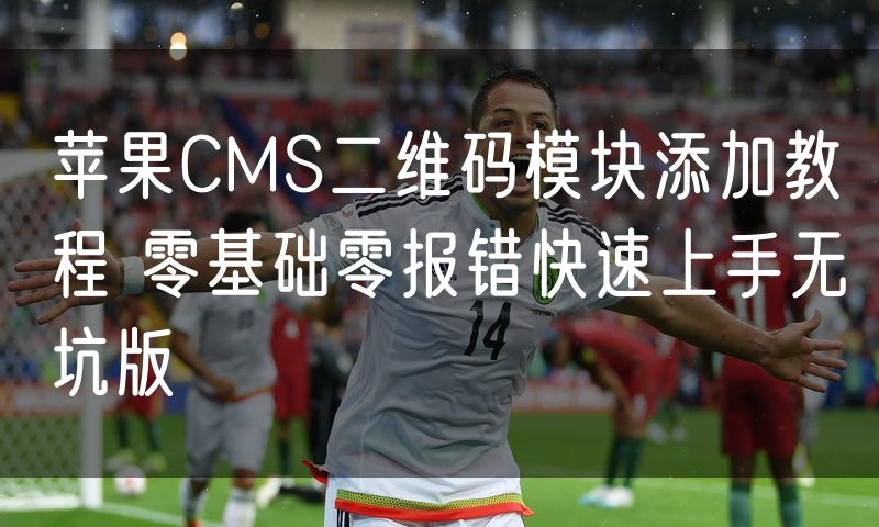 苹果CMS二维码模块添加教程 零基础零报错快速上手无坑版