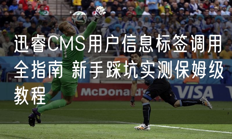 迅睿CMS用户信息标签调用全指南 新手踩坑实测保姆级教程