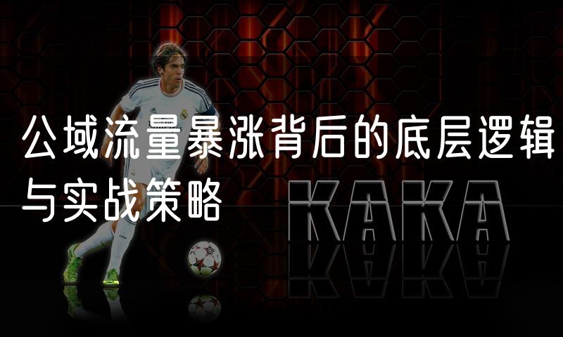 公域流量暴涨背后的底层逻辑与实战策略