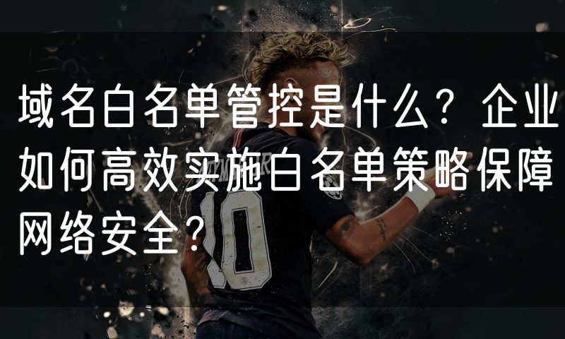 域名白名单管控是什么?企业如何高效实施白名单策略保障网络安全?
