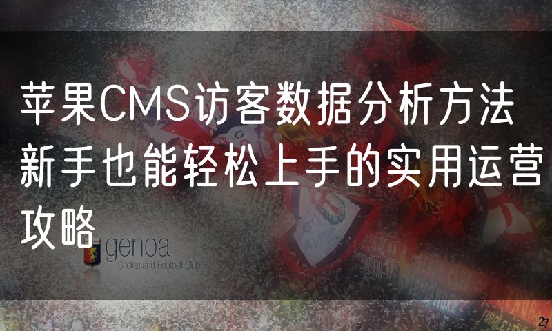 苹果CMS访客数据分析方法 新手也能轻松上手的实用运营攻略