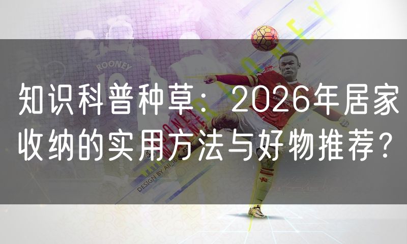 知识科普种草:2026年居家收纳的实用方法与好物推荐?