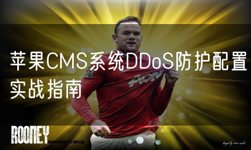 苹果CMS系统DDoS防护配置实战指南