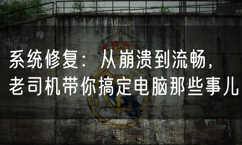 系统修复:从崩溃到流畅,老司机带你搞定电脑那些事儿