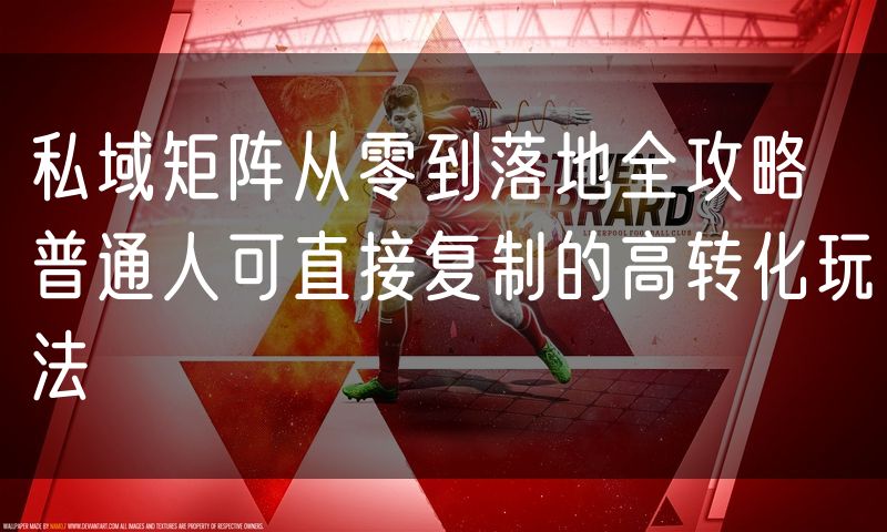 私域矩阵从零到落地全攻略 普通人可直接复制的高转化玩法