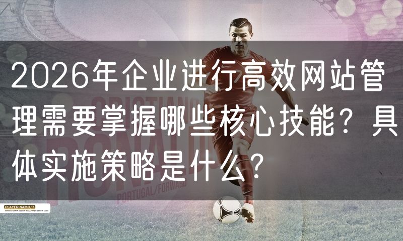 2026年企业进行高效网站管理需要掌握哪些核心技能?具体实施策略是什么?