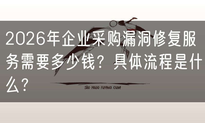 2026年企业采购漏洞修复服务需要多少钱？具体流程是什么？