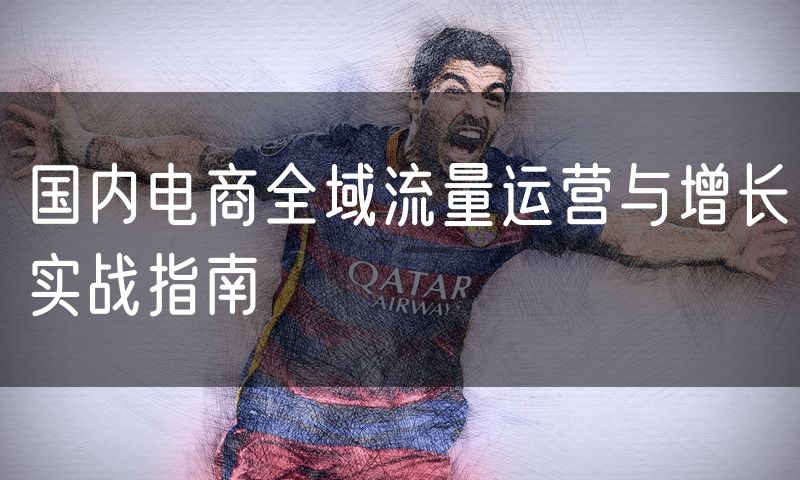 国内电商全域流量运营与增长实战指南