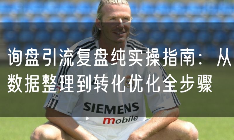 询盘引流复盘纯实操指南：从数据整理到转化优化全步骤