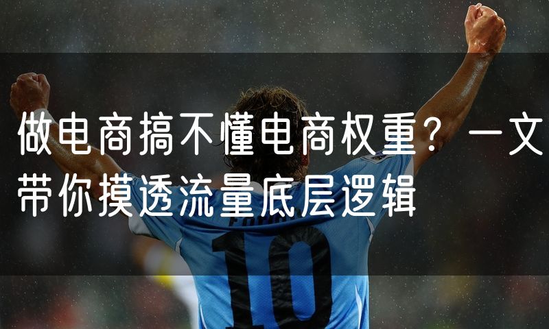做电商搞不懂电商权重?一文带你摸透流量底层逻辑