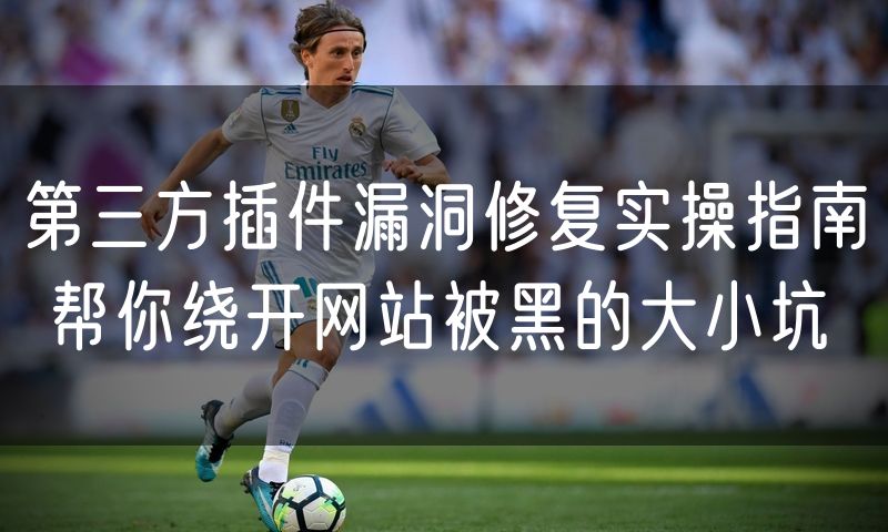 第三方插件漏洞修复实操指南 帮你绕开网站被黑的大小坑