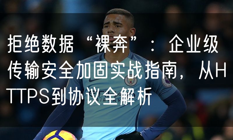 拒绝数据“裸奔”:企业级传输安全加固实战指南,从HTTPS到协议全解析