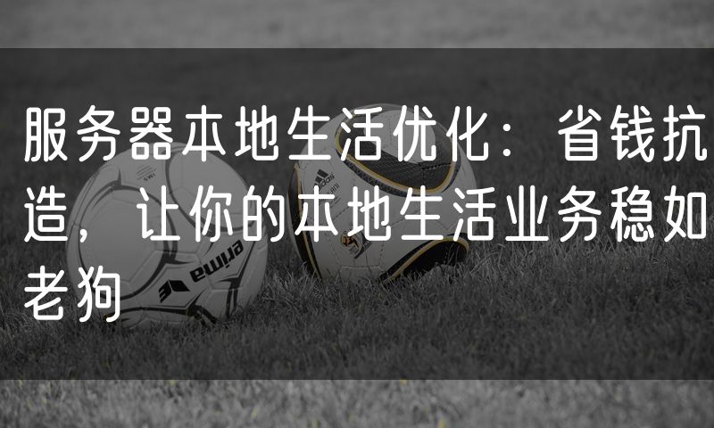 服务器本地生活优化:省钱抗造,让你的本地生活业务稳如老狗