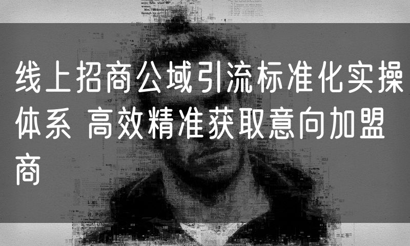 线上招商公域引流标准化实操体系 高效精准获取意向加盟商