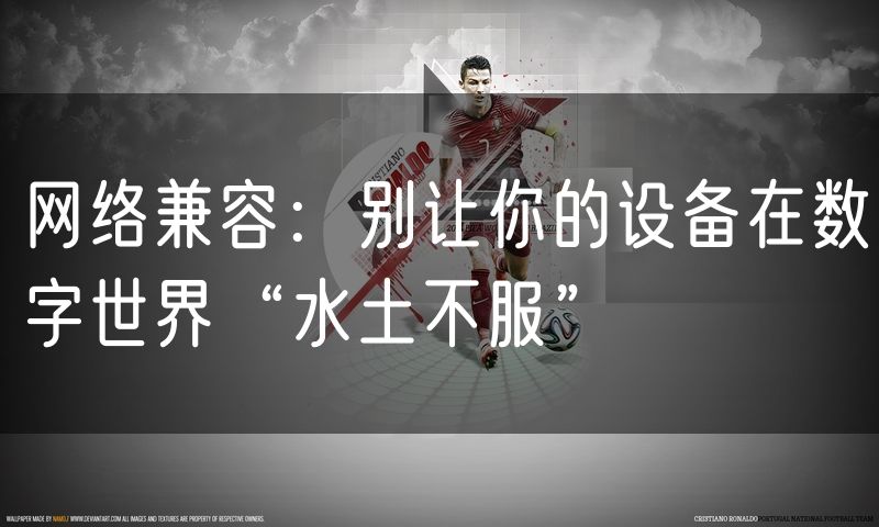 网络兼容：别让你的设备在数字世界“水土不服”