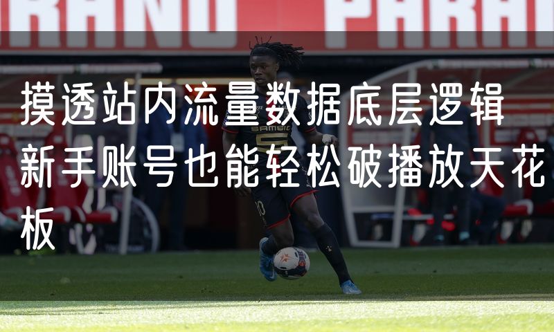 摸透站内流量数据底层逻辑 新手账号也能轻松破播放天花板