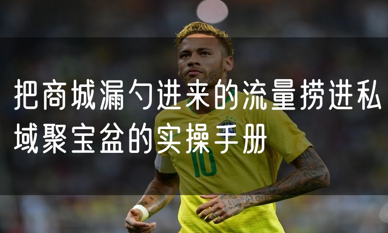 把商城漏勺进来的流量捞进私域聚宝盆的实操手册