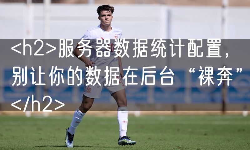 <h2>服务器数据统计配置，别让你的数据在后台“裸奔”</h2>