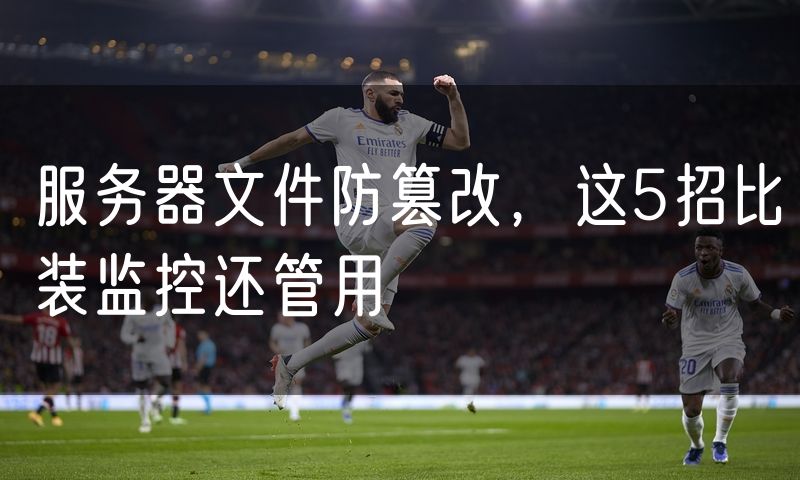 服务器文件防篡改,这5招比装监控还管用