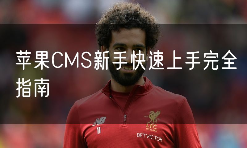 苹果CMS新手快速上手完全指南