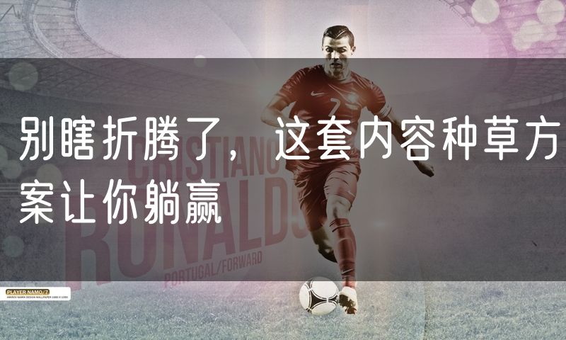 别瞎折腾了，这套内容种草方案让你躺赢
