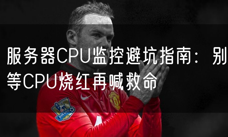 服务器CPU监控避坑指南：别等CPU烧红再喊救命