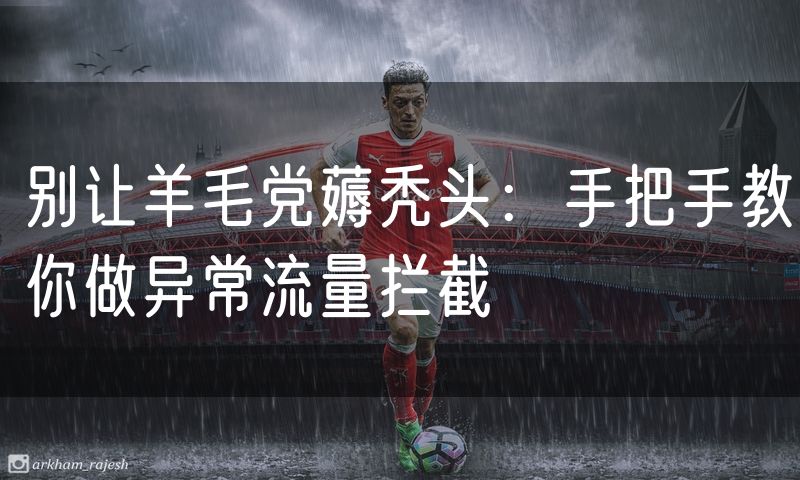 别让羊毛党薅秃头:手把手教你做异常流量拦截