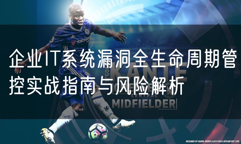 企业IT系统漏洞全生命周期管控实战指南与风险解析