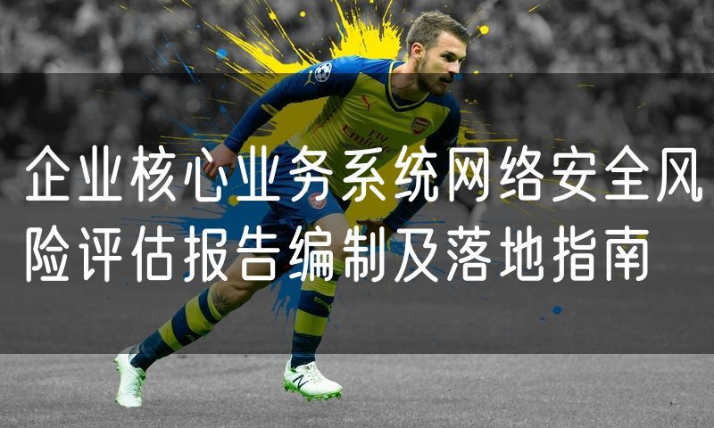 企业核心业务系统网络安全风险评估报告编制及落地指南