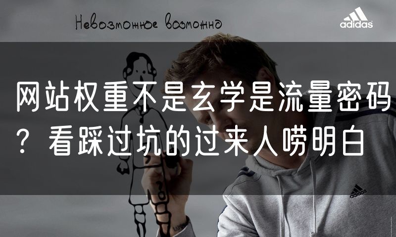 网站权重不是玄学是流量密码？看踩过坑的过来人唠明白