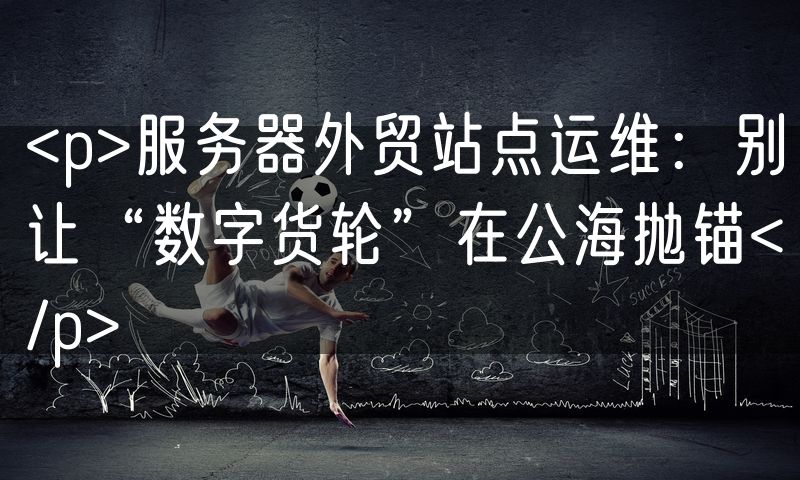 <p>服务器外贸站点运维:别让“数字货轮”在公海抛锚</p>