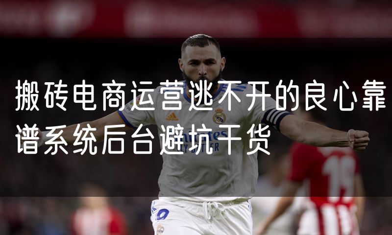 搬砖电商运营逃不开的良心靠谱系统后台避坑干货