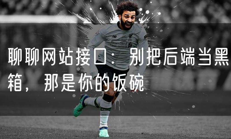 聊聊网站接口：别把后端当黑箱，那是你的饭碗