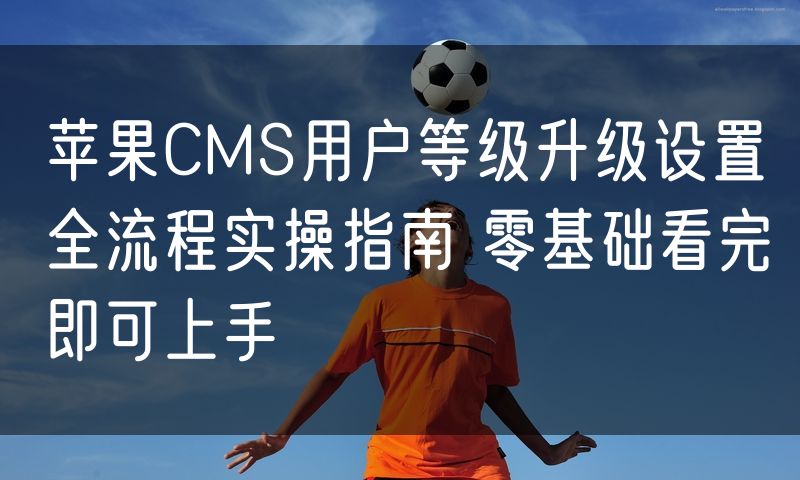 苹果CMS用户等级升级设置全流程实操指南 零基础看完即可上手