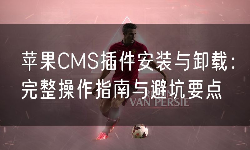 苹果CMS插件安装与卸载：完整操作指南与避坑要点