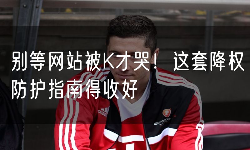 别等网站被K才哭!这套降权防护指南得收好