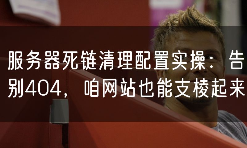 服务器死链清理配置实操:告别404,咱网站也能支棱起来