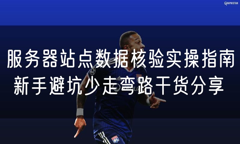 服务器站点数据核验实操指南 新手避坑少走弯路干货分享