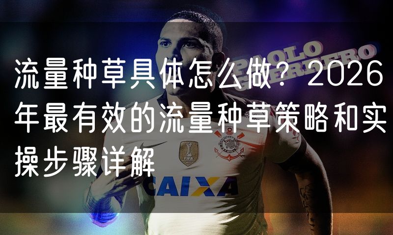 流量种草具体怎么做？2026年最有效的流量种草策略和实操步骤详解