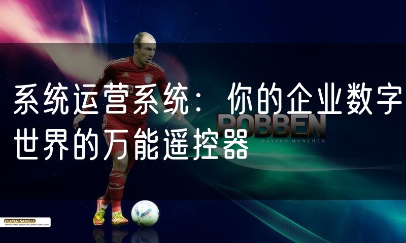 系统运营系统：你的企业数字世界的万能遥控器